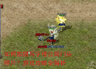 �������д��¥��˾��ͷ��Ƭ����Ϸ����ȫ����