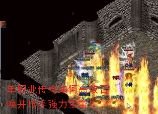 单职业传奇如何高效召唤并培养强力宝宝? 单职业传奇如何高效召唤并培养强力宝宝?