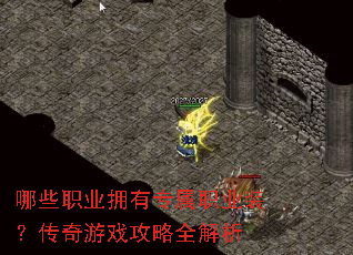 哪些职业拥有专属职业装?传奇游戏攻略全解析 哪些职业拥有专属职业装?传奇游戏攻略全解析