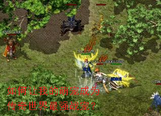 如何让我的萌宠成为传奇世界最强战宠? 如何让我的萌宠成为传奇世界最强战宠?