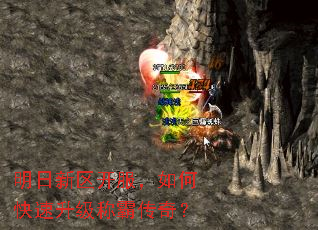 明日新区开服,如何快速升级称霸传奇? 明日新区开服,如何快速升级称霸传奇?