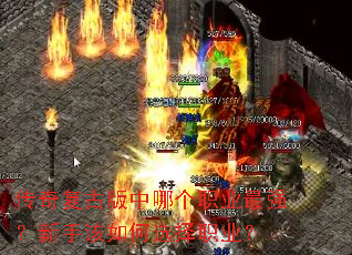 ���渴�Ű����ĸ�ְҵ��ǿ�����ָ����ѡ��ְҵ��