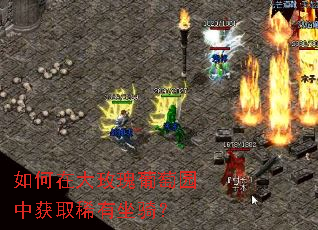 如何在大玫瑰葡萄园中获取稀有坐骑? 如何在大玫瑰葡萄园中获取稀有坐骑?