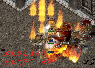 如何快速提升战力成为服务器第一英雄? 如何快速提升战力成为服务器第一英雄?