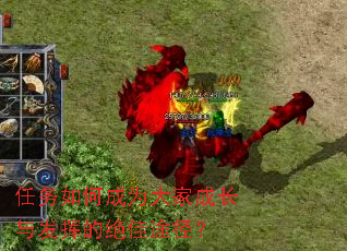 ������γ�Ϊ��ҳɳ��뷢�ӵľ���;����