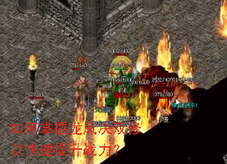 如何掌握龙凤决双修以快速提升战力? 如何掌握龙凤决双修以快速提升战力?