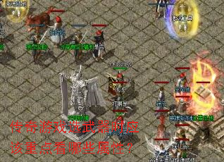 ������Ϸѡ����ʱӦ���ص㿴��Щ���ԣ�