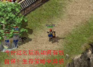 传奇红名玩家如何有效自保?生存策略全解析 传奇红名玩家如何有效自保?生存策略全解析